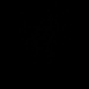 Meet your Posher, Kendyl